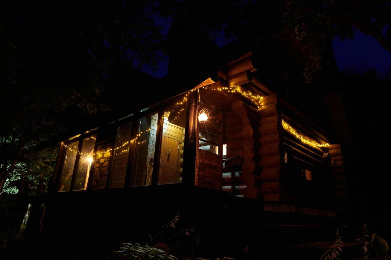 Sunnsnow Loghouse Villa Otari Exterior photo
